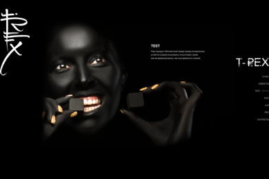 Создание и продвижение лендинга для компании Ugli