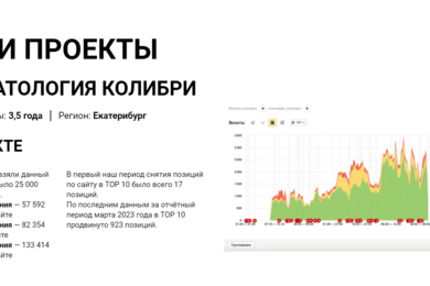 SEO продвижение стоматологии Колибри