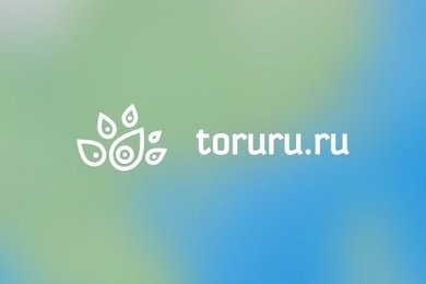 Разработка интернет-площадки по продаже недвижимости Туруру.ру