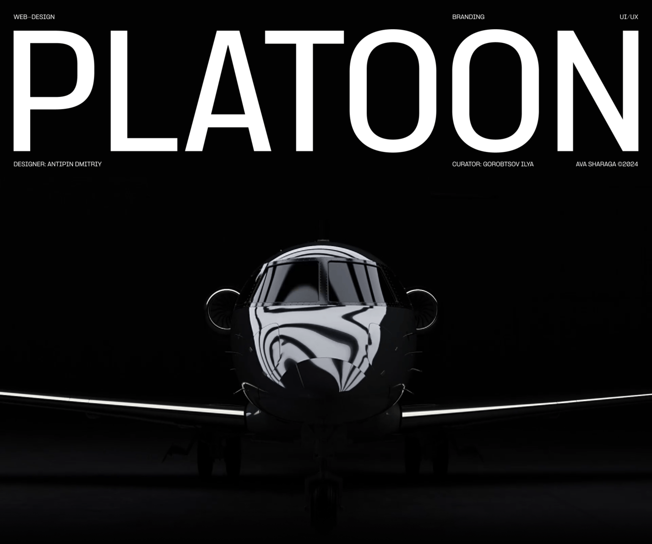 PLATOON AVIATION