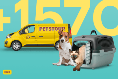 Перевозка домашних животных: как Яндекс Директ привел 1570 клиентов за 3 месяца