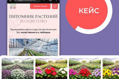 Разработка сайта для питомника растений с учётом сезонного спроса