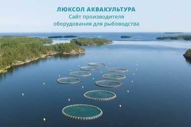 Разработка сайта производителя оборудования для рыбоводства