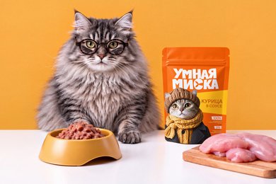 Комплексная разработка с нуля корма для домашних животных в среднем ценовом сегменте Умная миска