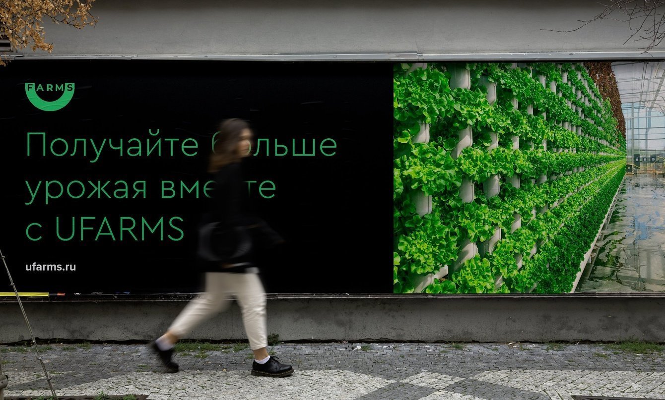 UFARMS: разработка фирменного стиля