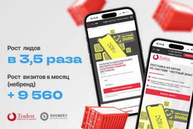 Рост лидов ×3,5 и трафика ×5 за год: SEO-кейс для логистической компании