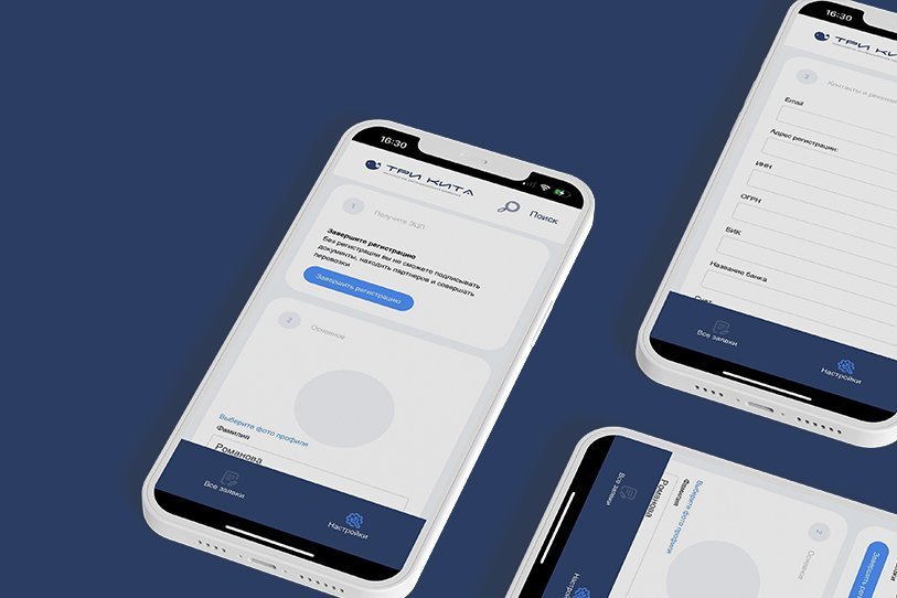 Разработка мобильного приложения для транспортно-экспедиционной компании “Три Кита”