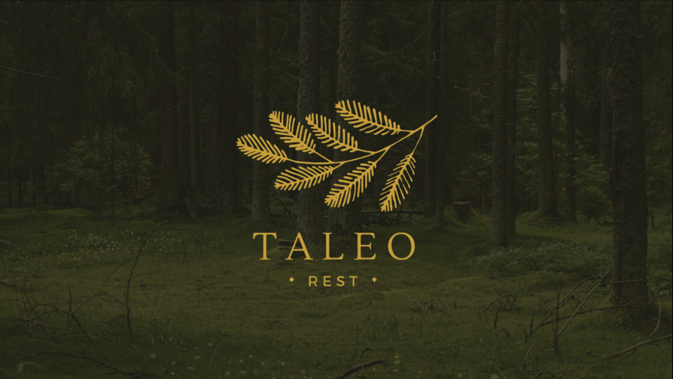 Бренд-платформа и SMM для TaleoRest - ресторана авторской кухни на берегу Онежского озера