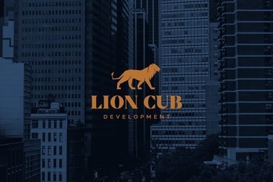 Логотип и фирменный стиль для девелопера из Нью-Йорка