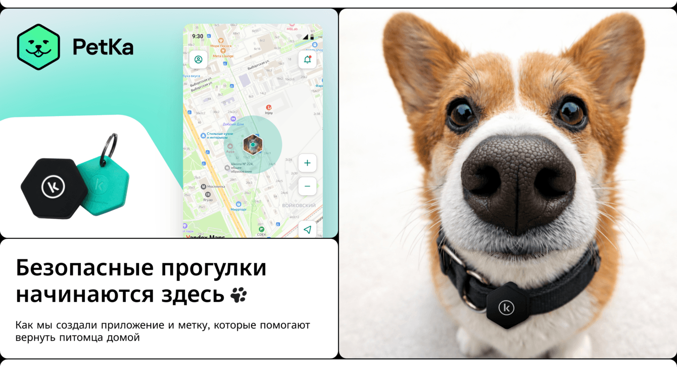 PetKa. Приложение и метка, которые помогают вернуть питомца домой