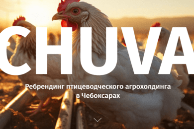 CHUVA: ребрендинг птицеводческого агрохолдинга в Чебоксарах