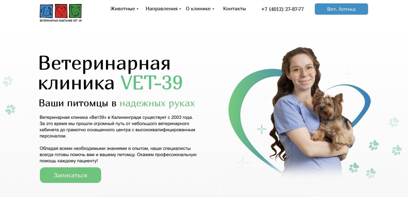 SEO-рывок Vet39: рост трафика за 4 месяца на сайте, сделанном на Tilda