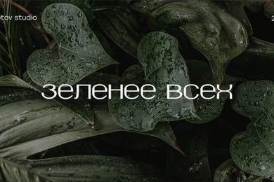 Разработка фирменного стиля и бренд-платформы для компании по озеленению участков