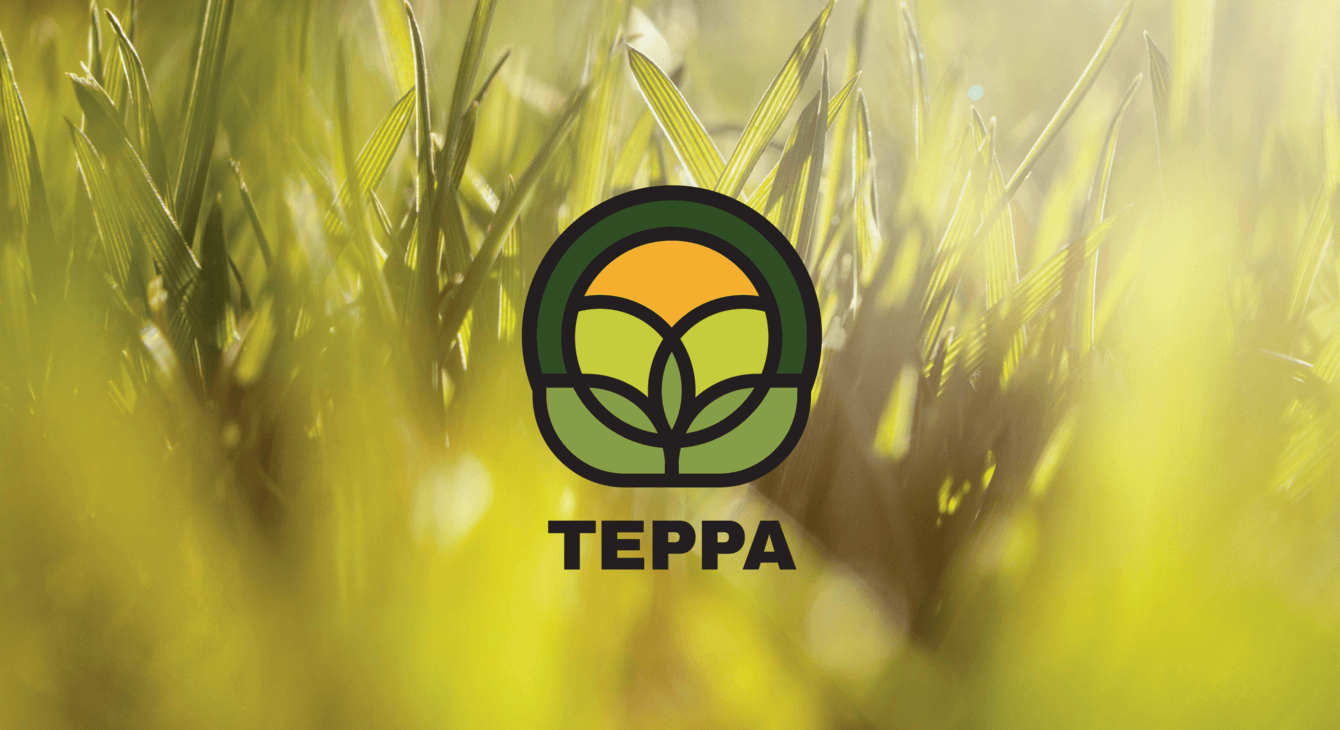 Терра: современный облик аграрного бизнеса