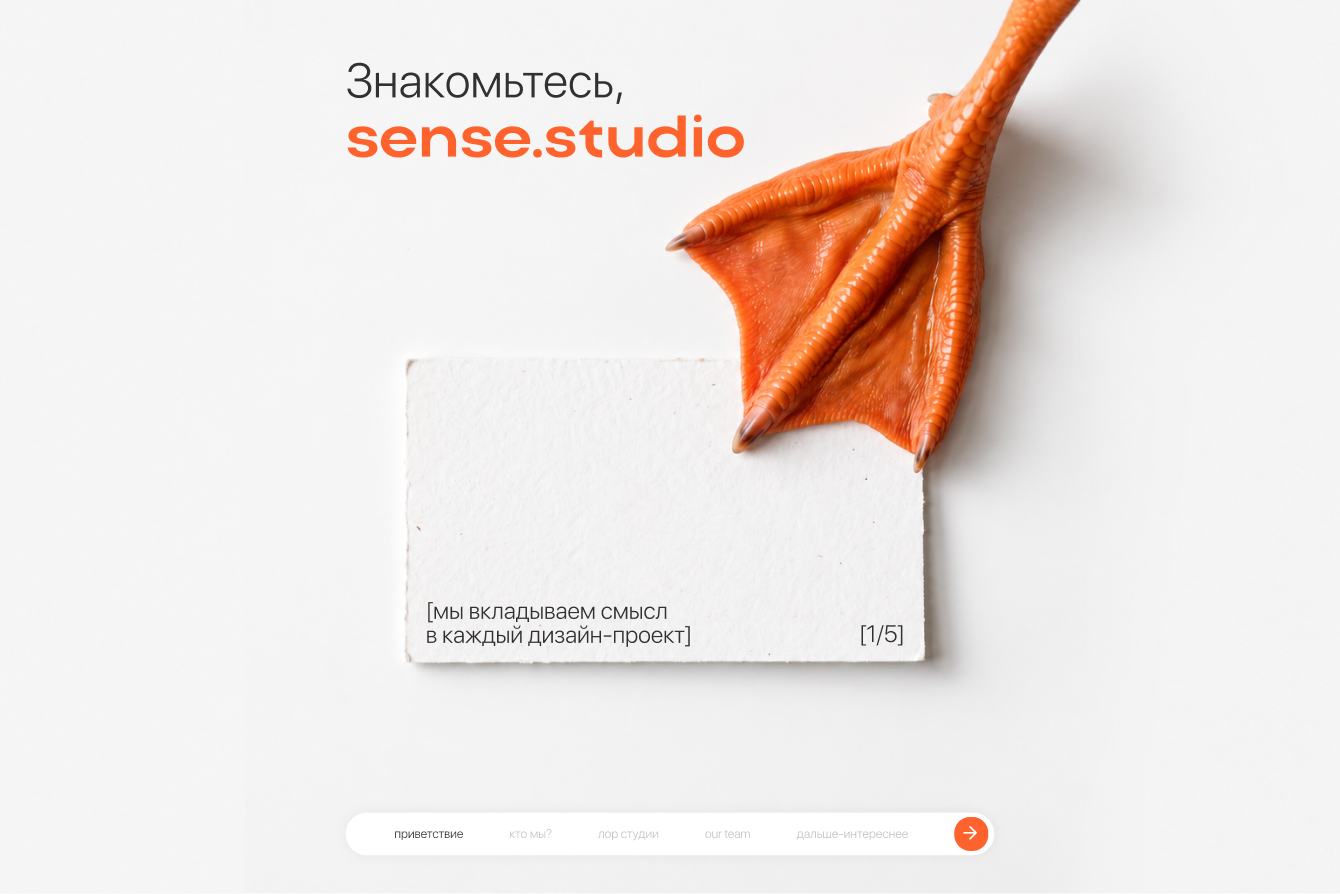 Знакомство с характером: как гусь стал фирменным персонажем Sense Studio