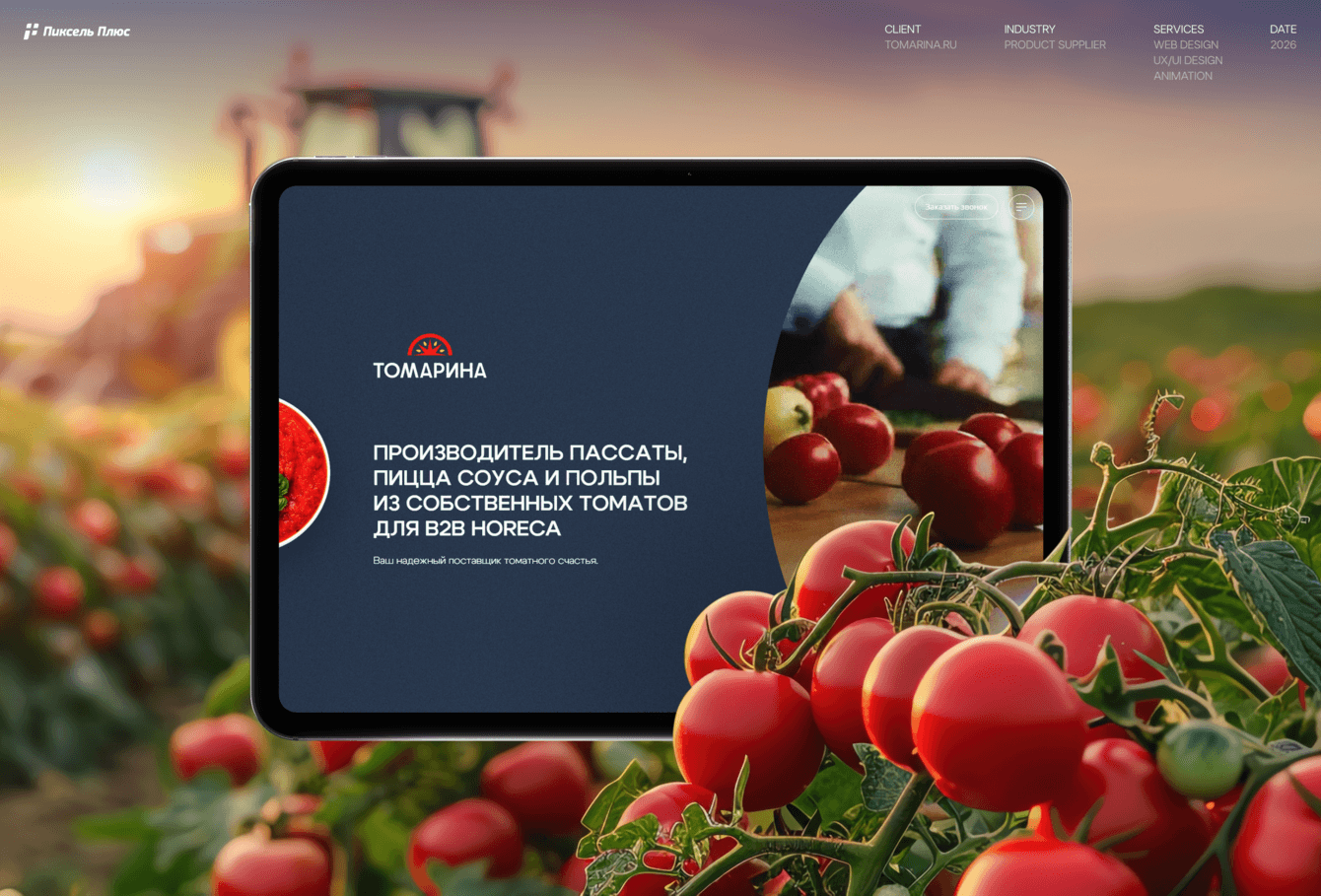 Корпоративный сайт для производителя томатных продуктов — «Томарина»