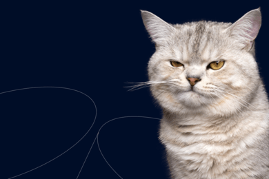 С 0 до 20 тысяч вовлеченных подписчиков для Melwin