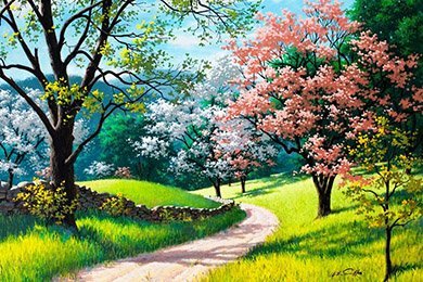 Настройка рекламной кампании Google Adwords для продажи видеостен