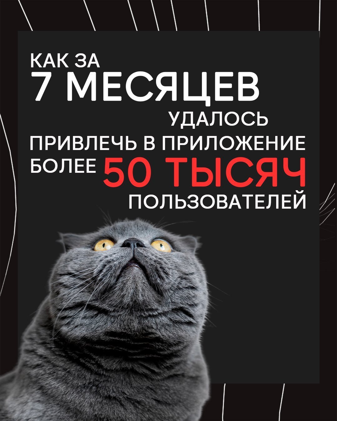 Кейс HunterMob и «Банки.ру»: как за 7 месяцев удалось привлечь более 52 тысяч пользователей