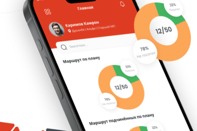 Кейс проекта: Visitrack Система контроля и аналитики активности медицинских представителей