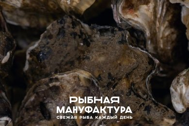 Рыбная Мануфактура № 1: мобильное приложение для самостоятельного заказа в ресторанах сети