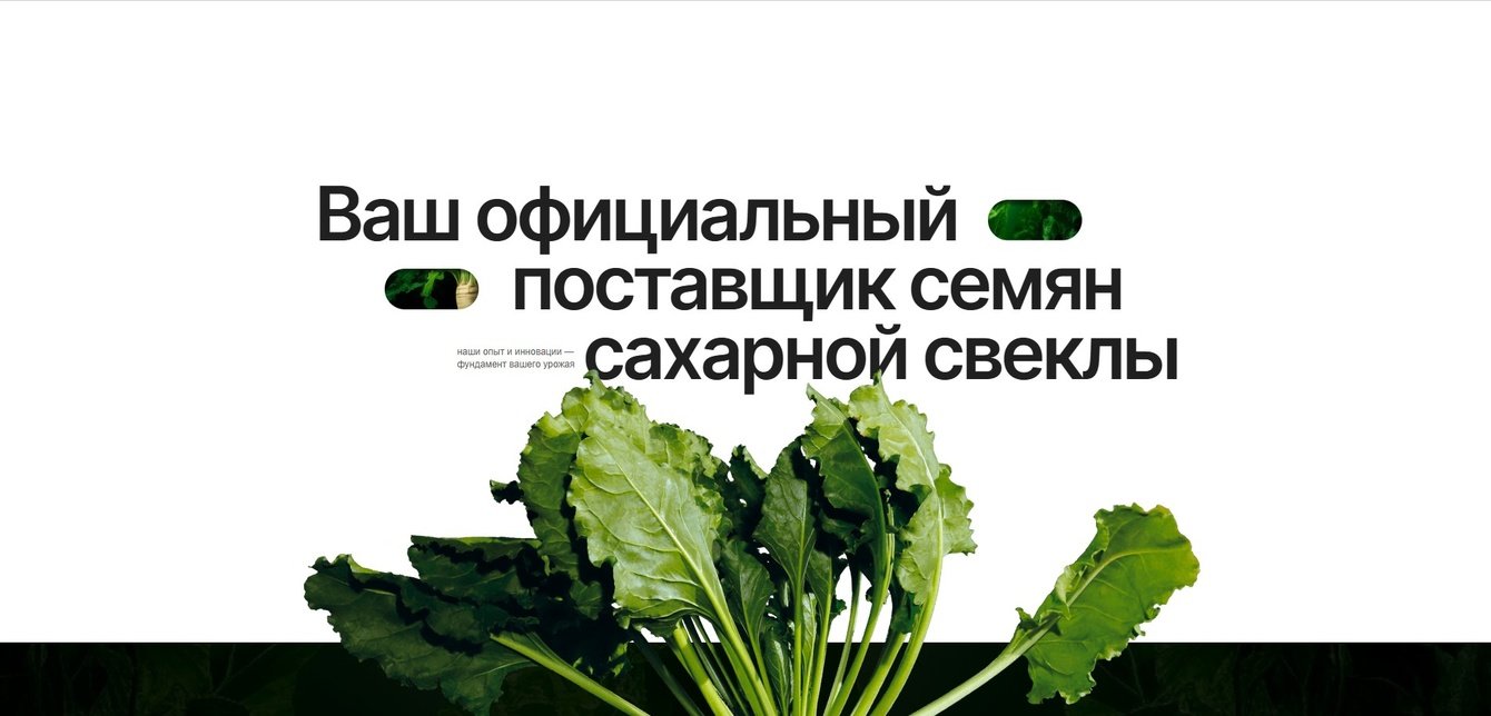 Корпоративный сайт для поставщика семян сахарной свеклы