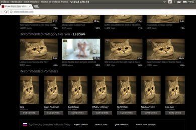 Блокировщик непотребного контента
