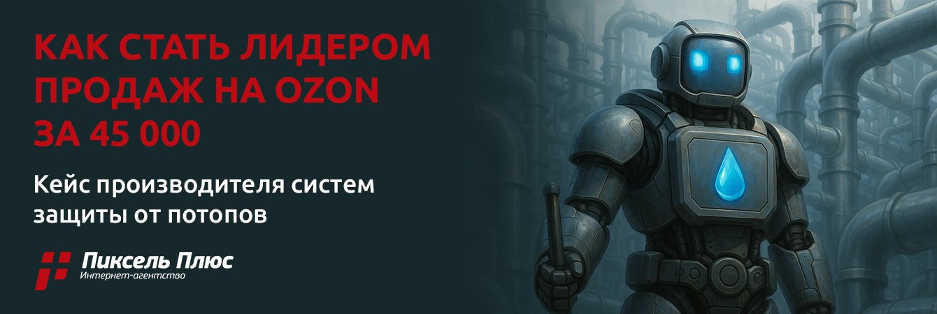 Как производитель стал лидером продаж на Ozon за 45 000 руб.