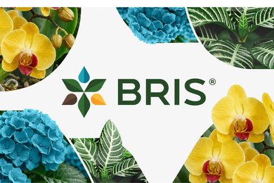 Брендинг производственной компании BRIS: как мы объединили промышленность и розницу