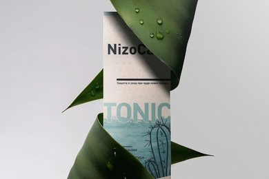 STADA NizoCare shampoo | Упаковка