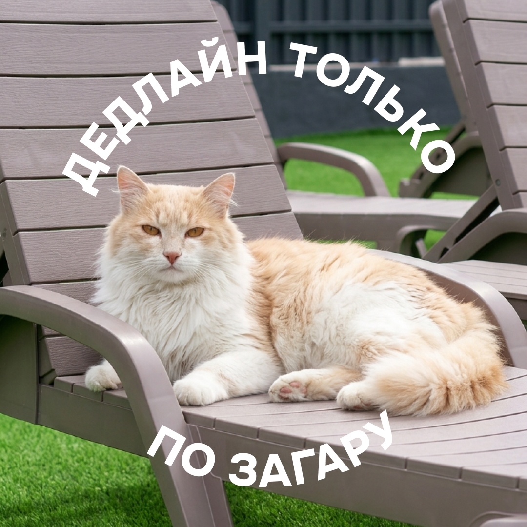 6000 комментариев за месяц: народная любовь или кома менеджера?