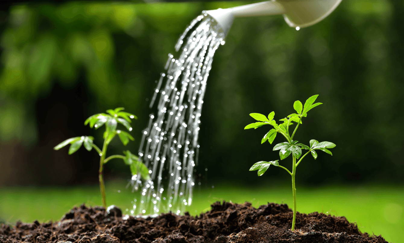 Рост трафика на 640% и 20+ запросов в ТОП-3. Продвижение магазина удобрений