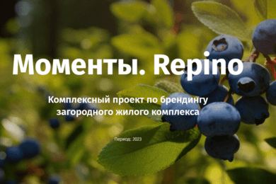 Комплексный брендинг загородного жилого комплекса Моменты. Repino