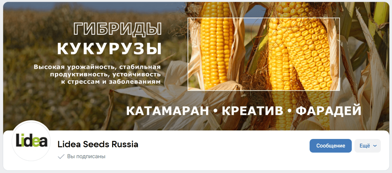 Абонентское Digital и SMM-обслуживание международной семенной компании 2024