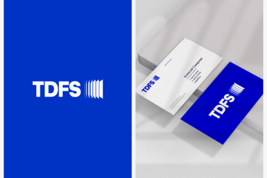 Разработка современного лендинга для TDFS GROUP