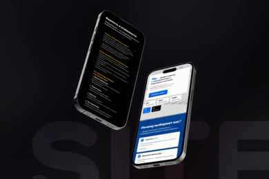 Сайт с двенадцатью отраслями деятельности компании, нацеленный на государственные проекты