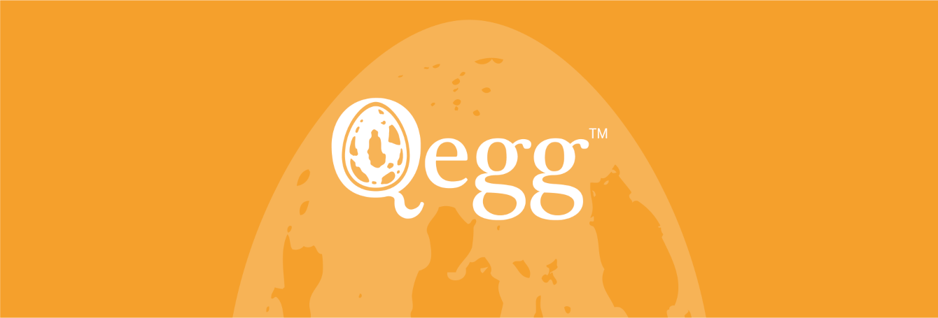 Создание целостного образа бренда Qegg в цифровой среде
