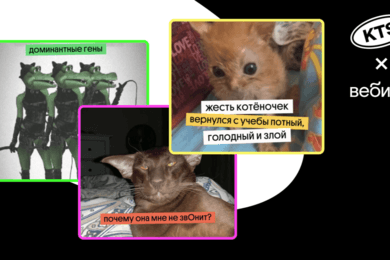 Некринжовая игра с мемами для подростков: как сделать миниапп «ВКонтакте» для промо онлайн-школы