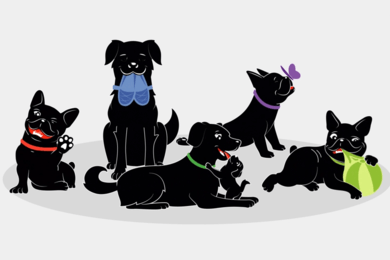 Упаковка корма для собак Enso®