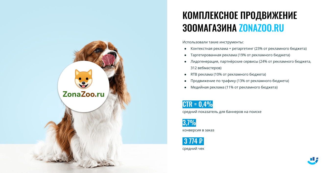 [Кейс] Зоомагазины для домашних питомцев. Комплексное интернет-продвижение для ZONAZOO