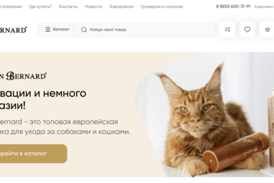 Разработка сайта Iv San Bernard