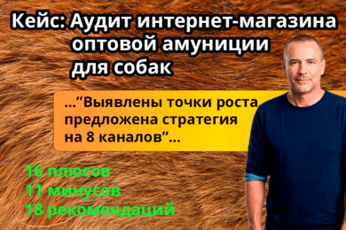 Аудит B2B-интернет-магазина амуниции для собак: 18 шагов к росту продаж