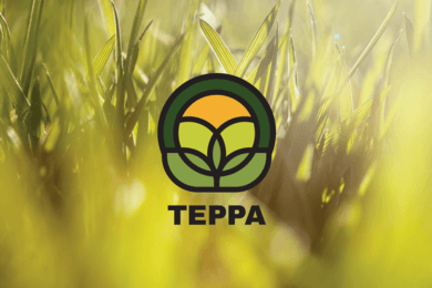 Терра: современный облик аграрного бизнеса