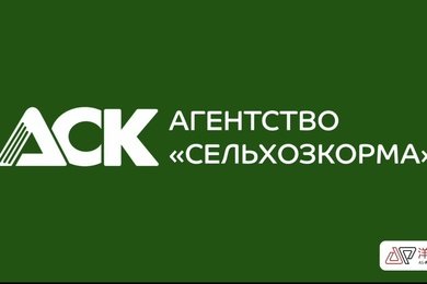 500 лидов с Baidu Ads