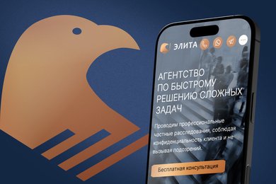 Вывели в ТОП-10 с нуля за 1 год сайт детективного агентства