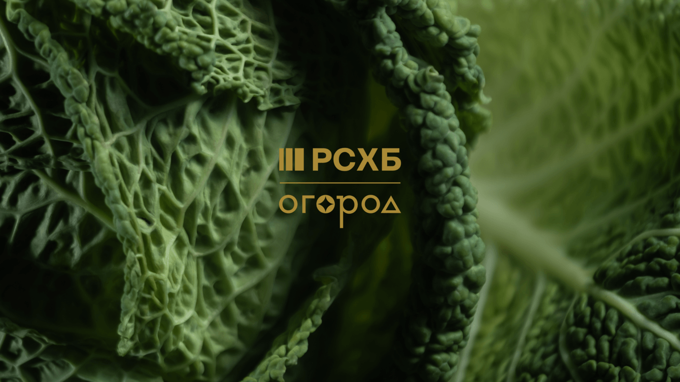 Новогодние подарки для партнёров Россельхозбанка