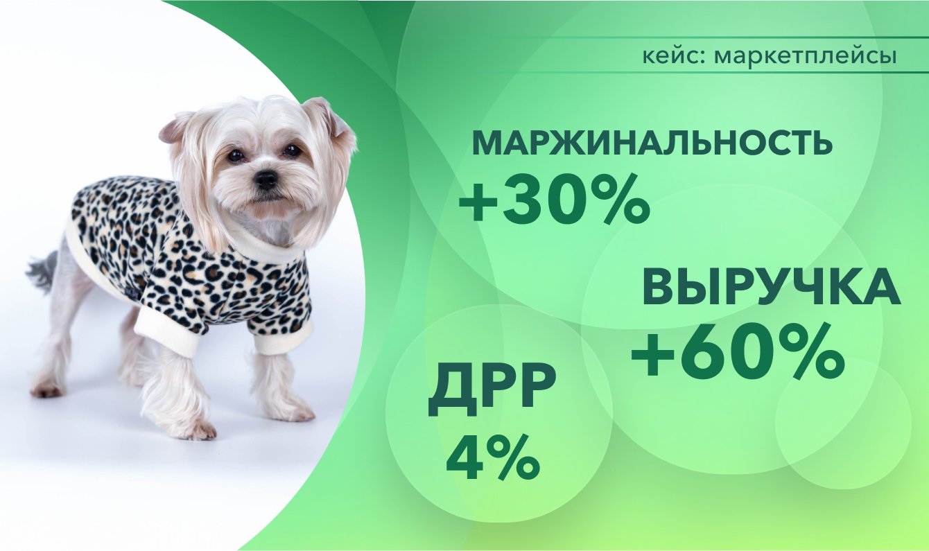 Увеличили маржинальность магазина одежды для животных на 30% в условиях роста конкуренции
