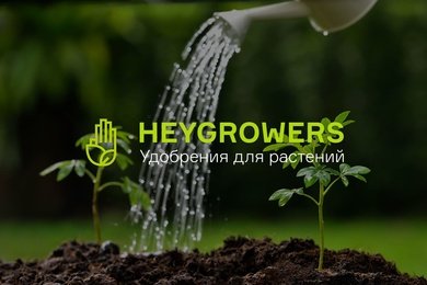 Рост трафика на 640% и 20+ запросов в ТОП-3. Продвижение магазина удобрений