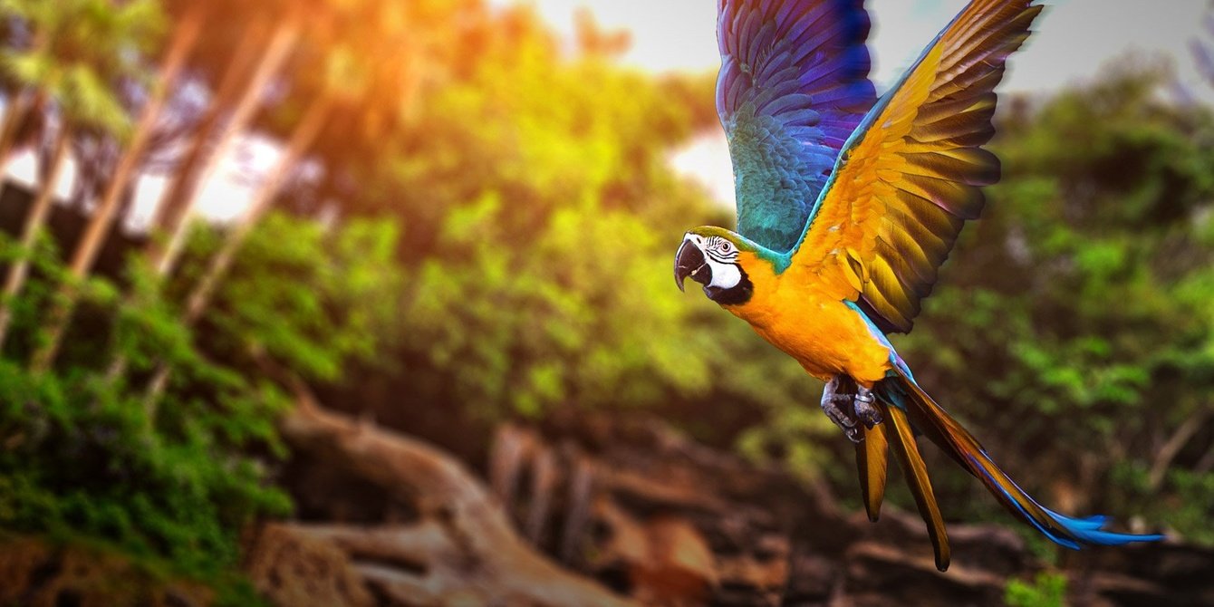 Интернет-магазин товаров из Перу