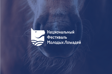Национальный Фестиваль Молодых Лошадей | 2022